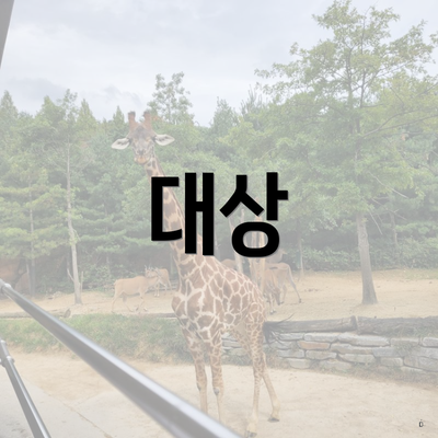 대상