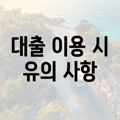대출 이용 시 유의 사항