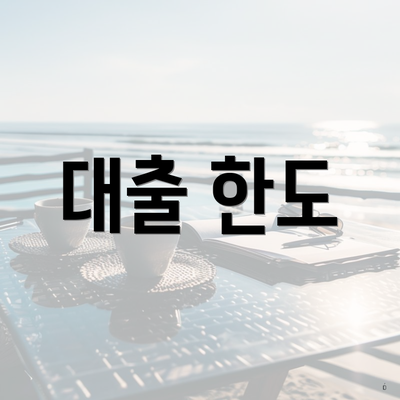 대출 한도
