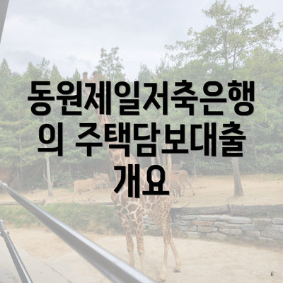 동원제일저축은행의 주택담보대출 개요