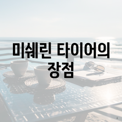 미쉐린 타이어의 장점