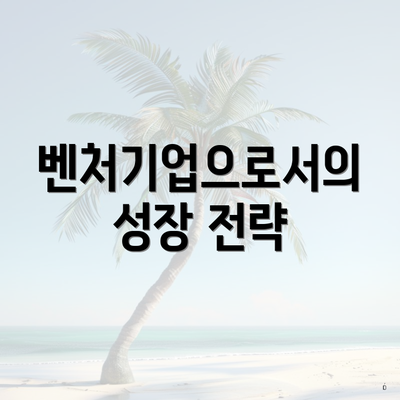 벤처기업으로서의 성장 전략