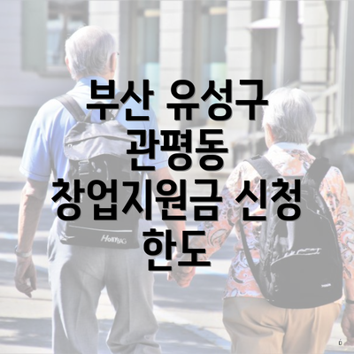 부산 유성구 관평동 창업지원금 신청 한도