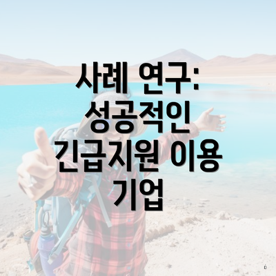 사례 연구: 성공적인 긴급지원 이용 기업