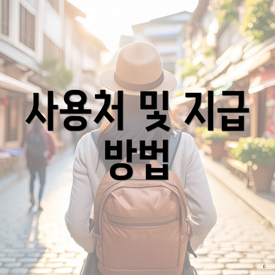 사용처 및 지급 방법