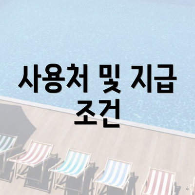 사용처 및 지급 조건