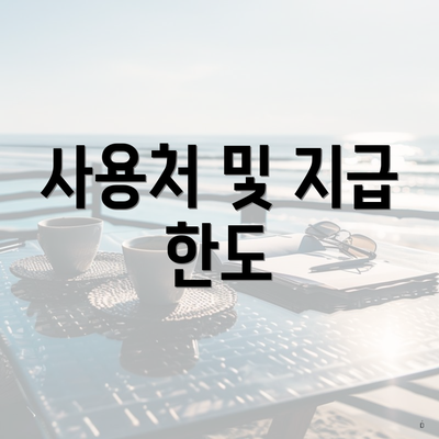 사용처 및 지급 한도