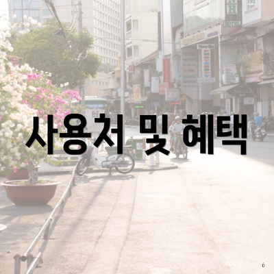 사용처 및 혜택