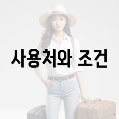 사용처와 조건