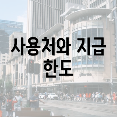 사용처와 지급 한도