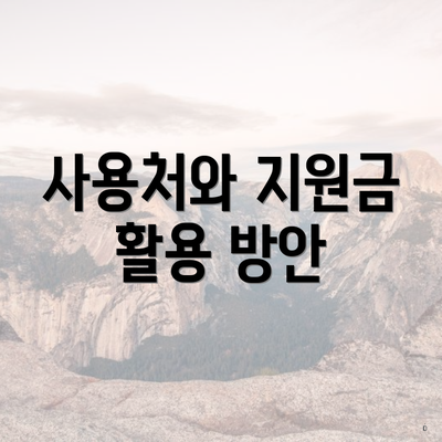 사용처와 지원금 활용 방안