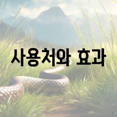 사용처와 효과