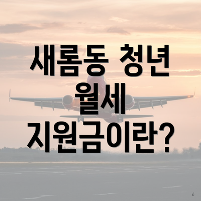 새롬동 청년 월세 지원금이란?
