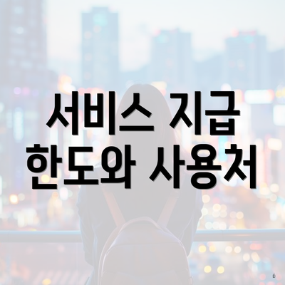 서비스 지급 한도와 사용처