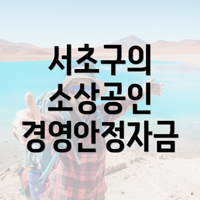 서초구의 소상공인 경영안정자금