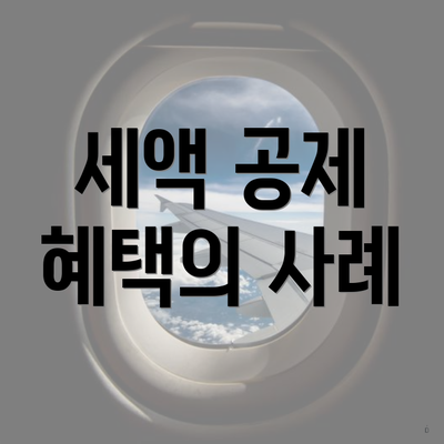세액 공제 혜택의 사례