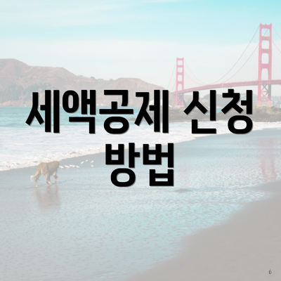 세액공제 신청 방법