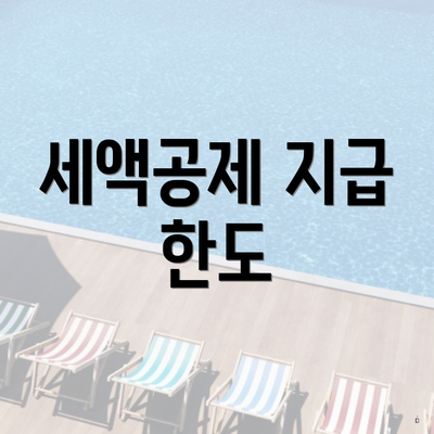 세액공제 지급 한도