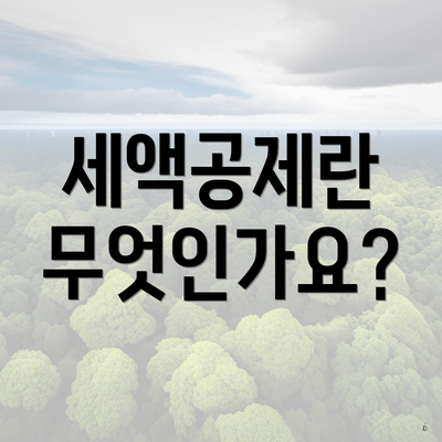 세액공제란 무엇인가요?