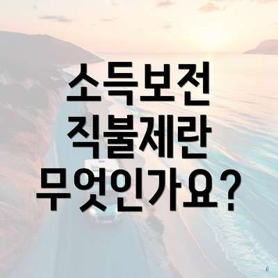 소득보전 직불제란 무엇인가요?