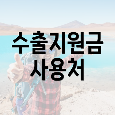수출지원금 사용처