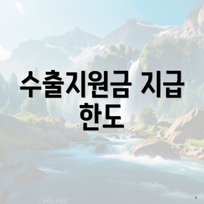 수출지원금 지급 한도