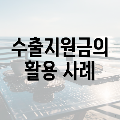 수출지원금의 활용 사례