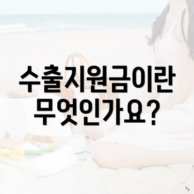 수출지원금이란 무엇인가요?