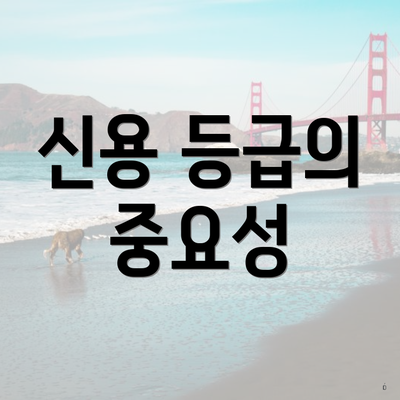 신용 등급의 중요성