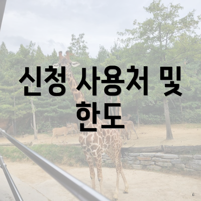 신청 사용처 및 한도