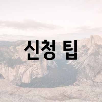 신청 팁