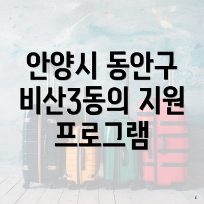 안양시 동안구 비산3동의 지원 프로그램