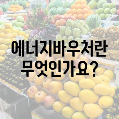 에너지바우처란 무엇인가요?