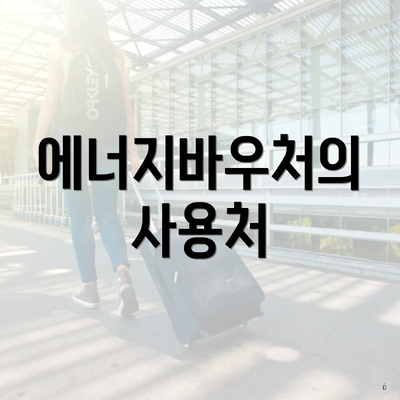 에너지바우처의 사용처