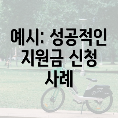 예시: 성공적인 지원금 신청 사례