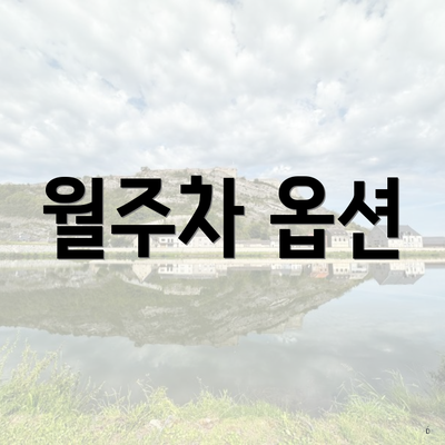 월주차 옵션