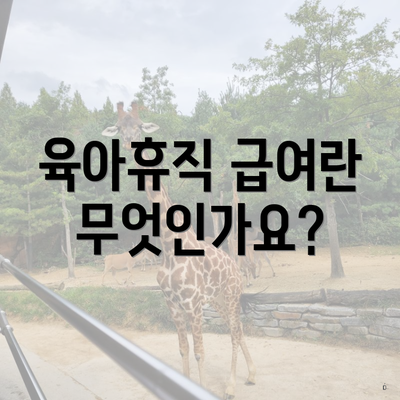 육아휴직 급여란 무엇인가요?