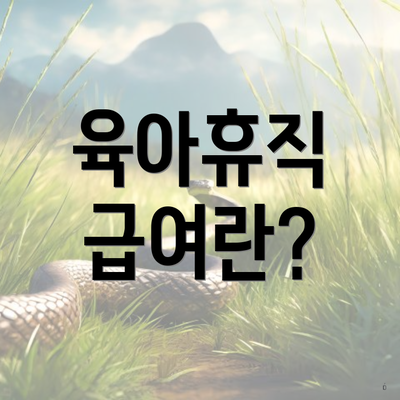 육아휴직 급여란?