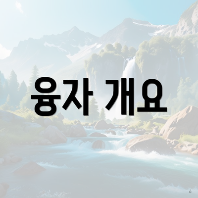 융자 개요