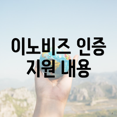 이노비즈 인증 지원 내용