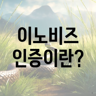 이노비즈 인증이란?