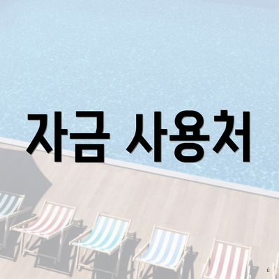 자금 사용처