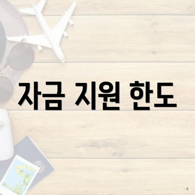 자금 지원 한도