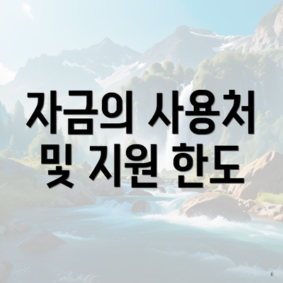 자금의 사용처 및 지원 한도