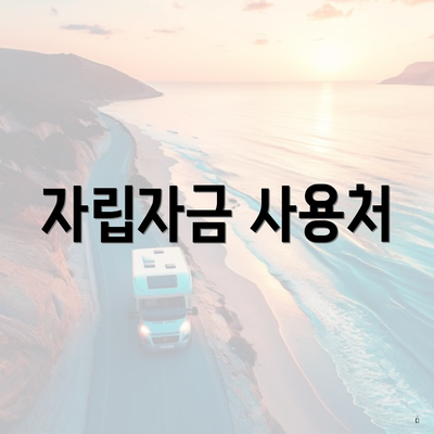 자립자금 사용처