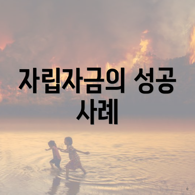 자립자금의 성공 사례