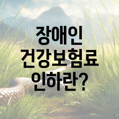 장애인 건강보험료 인하란?
