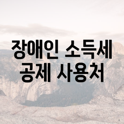 장애인 소득세 공제 사용처