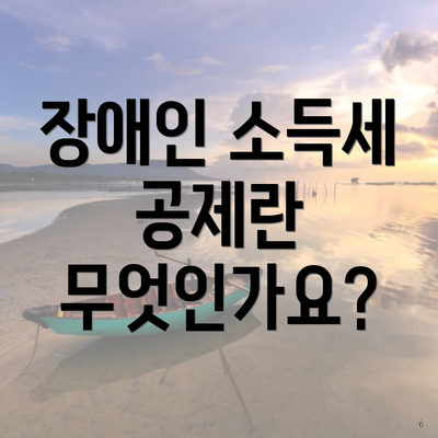 장애인 소득세 공제란 무엇인가요?