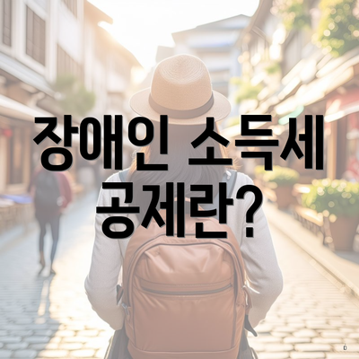장애인 소득세 공제란?